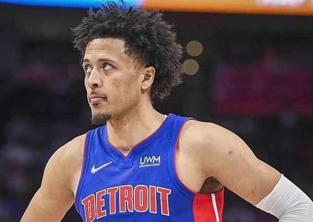 专业度和S 专业度和S